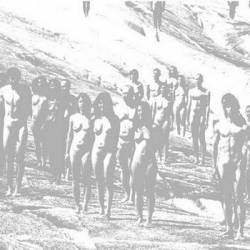 Hulk Smash : Hulk Smash - Bubonic Bear Split